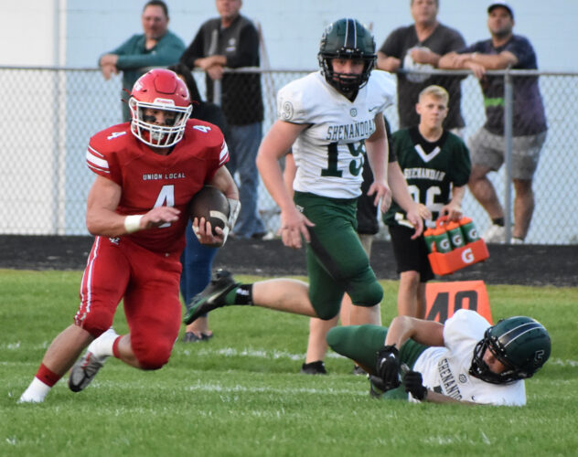 Jets Down Zeps to Stay Perfect